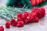 carnations red/  20pcs/bundle