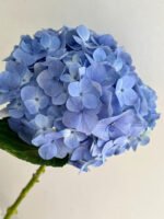 light blue Hydrangea 1pcs