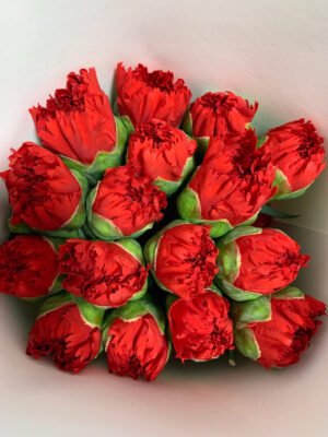 carnations red/  20pcs/bundle