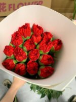 carnations red/  20pcs/bundle