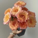 rose fire bird  20pcs/bundle