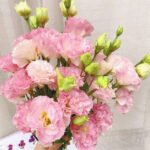 pink Eustoma  600g