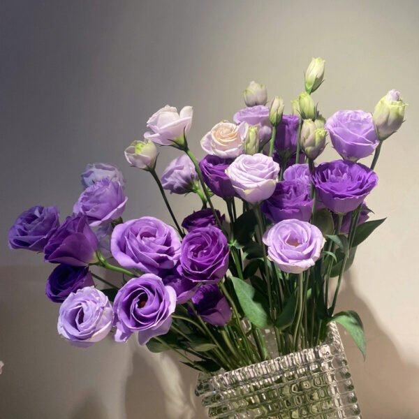 purple Eustoma  600g/bundle