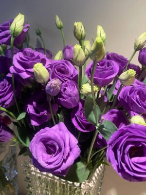 purple Eustoma  600g/bundle