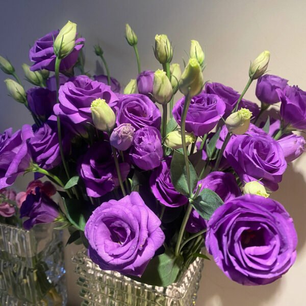 purple Eustoma  600g/bundle