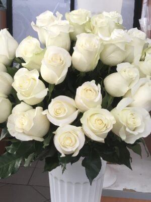 1650108651_69-vsegda-pomnim-com-p-roza-scarlatta-ekvador-foto-70