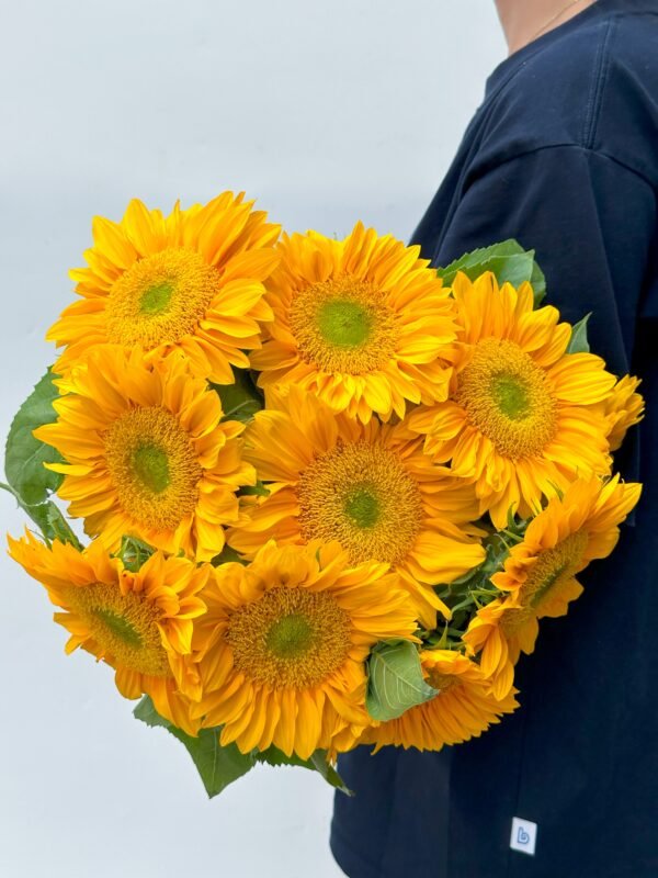 green heart sunflower 5pcs/bundle