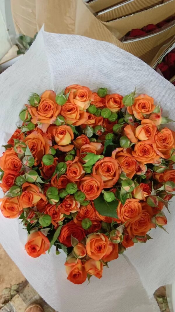 orange barbie spray rose 10pcs/bundle