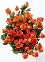 orange barbie spray rose 10pcs/bundle