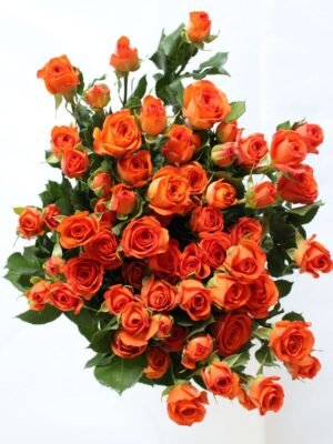 orange barbie spray rose 10pcs/bundle