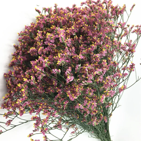 白水晶 Limonium white 1kg/bundle