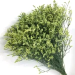 白水晶 Limonium white 1kg/bundle
