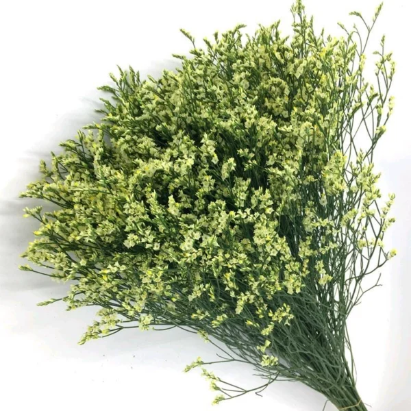 白水晶 Limonium white 1kg/bundle