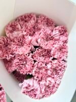 carnations 20pcs/bundle