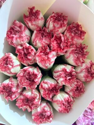 carnations 20pcs/bundle