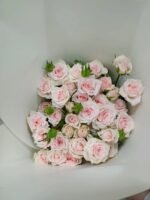 星悦宝贝 Star Baby spray rose fresh cut flowers