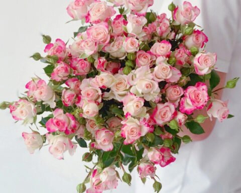 折射 refraction spray rose fresh cut rose for wedding