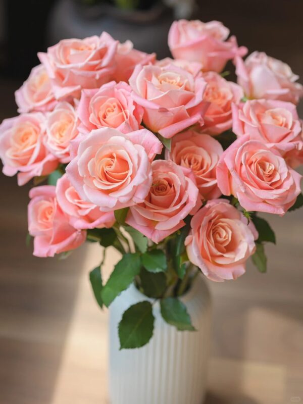 朱小姐   rose Ms. Zhu 20pcs/bundle