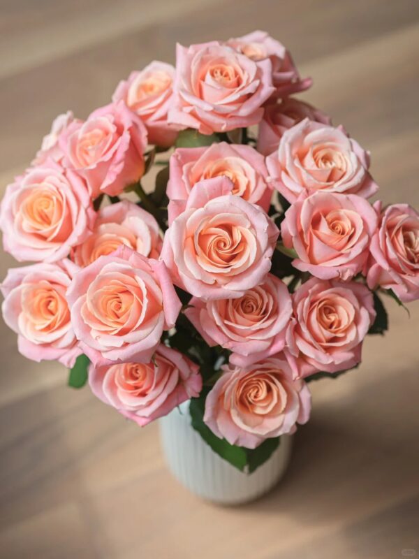 朱小姐   rose Ms. Zhu 20pcs/bundle