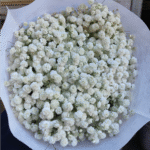 满天星 Gypsophila-Million Stars  1kg/bundle