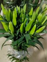 西伯利亚 Siberia fresh cut flower lily 10 pcs/bundle