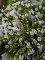 风铃花 bell flower 10pcs/bundle