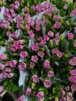 风铃花 bell flower 10pcs/bundle