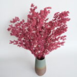 dry flower ming fern