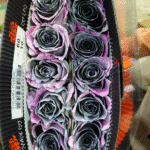 月光闪耀The moonlight shines brightly