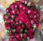 波赛妮娜Bosenina