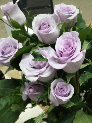 海洋之歌Song of the Ocean