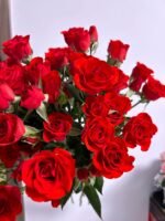 霓虹泡泡Neon Bubble Rose